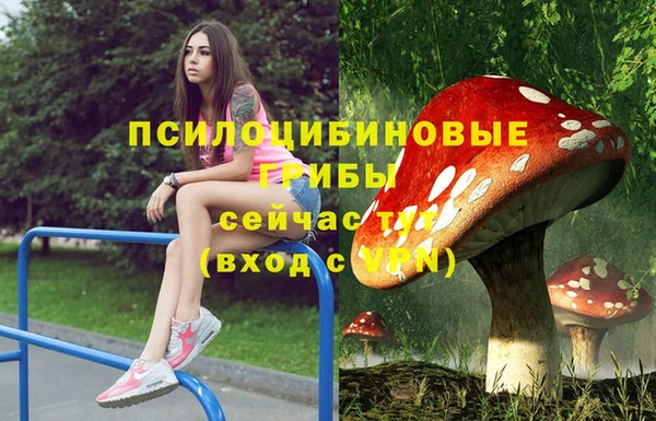 мдма Карпинск