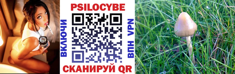 Галлюциногенные грибы Magic Shrooms  Купить где  Бежецк 